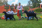 Best In Show – Skaringen's First Impression (om. Jostein Skare Thygesen)
Vastakkaisen sukupuolen paras – Skaringen's Galileo III (om. Jostein Skare Thygesen ja Catherine Svendsen)