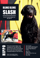 Esimerkki vuoden 2022 seminaarikirjan mainoksesta.