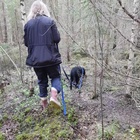 Kuva: Maija Päivärinta