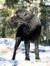 huhtikuu 2008, kuva: Sanna Sierilä