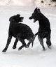 helmikuu 2008, kuva: Maija Päivärinta