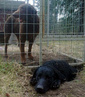 toukokuu 2005, kuva: Sini Tuokila