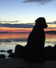 syyskuu 2009, kuva: Sanna Sierilä
