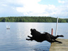 heinäkuu 2011, kuva: Kirsi Romppanen