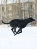 marraskuu 2006, kuva: Maija Päivärinta