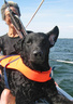 kesäkuu 2007, kuva: Fred Sundén