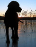 tammikuu 2008, kuva: Päivi Kortelainen