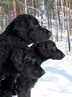 maaliskuu 2007, kuva: Maija Päivärinta