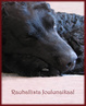 joulukuu 2007, kuva: Sanna Sierilä