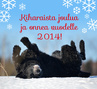 joulukuu 2013, kuva: Åsa Granström, muokkaus: Soile Ojalehto
